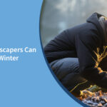 6 Ways Landscapers Can Work In The Winter