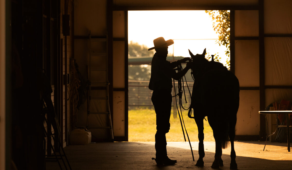 Barn alleyway silhouette tacking up horse cowboy