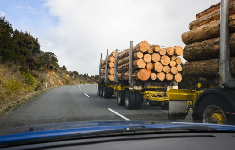 Timber logs carried by long heavy-duty truck