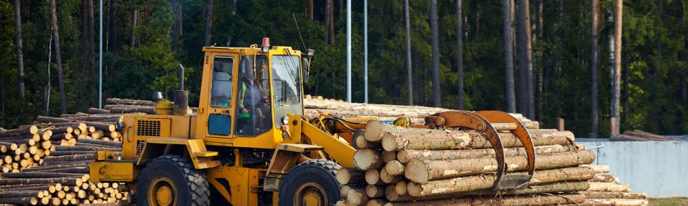 log loader moving logs